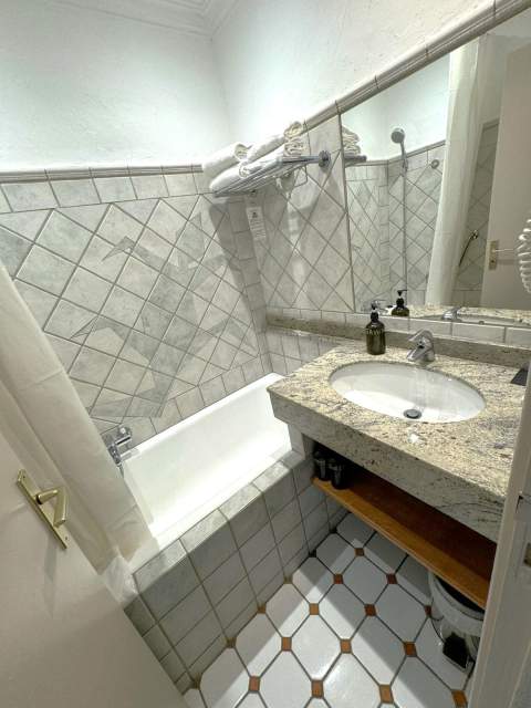 Les flots bleus hotel · the Var · Le Lavandou